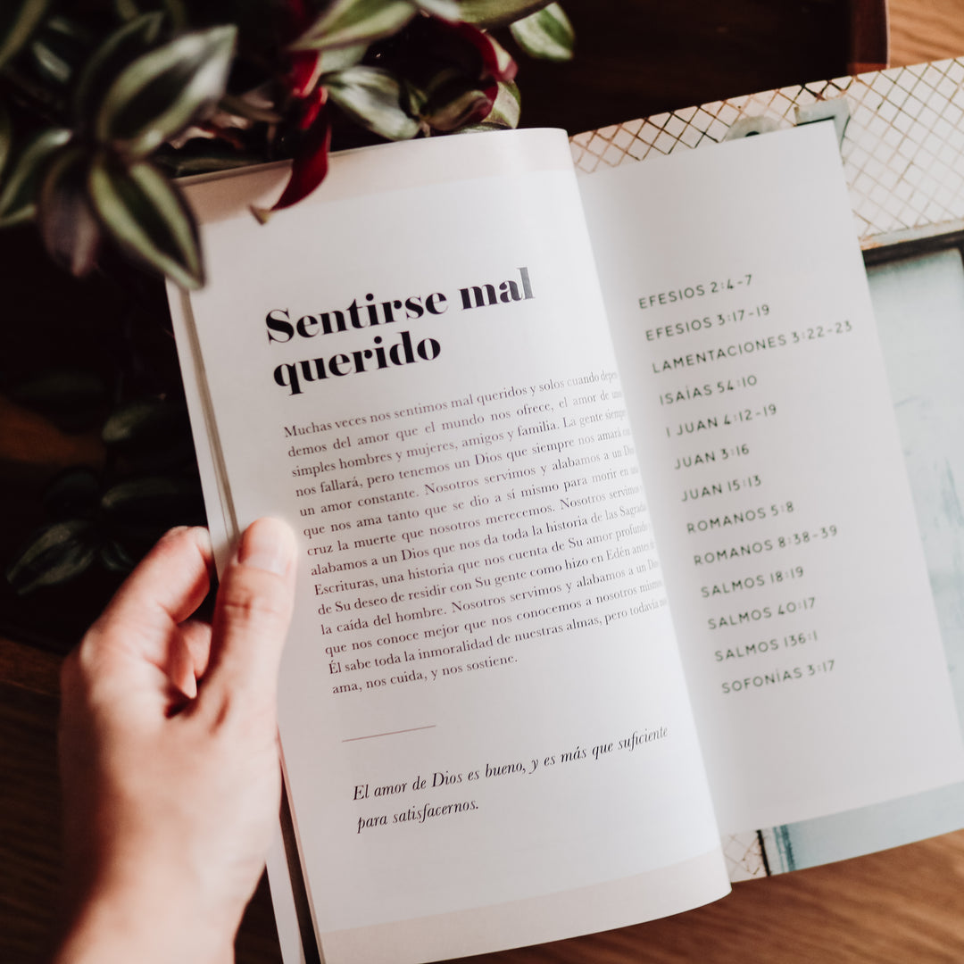 La Verdad Diaria meditation page.