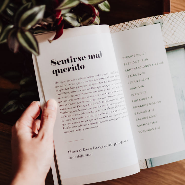 La Verdad Diaria meditation page.