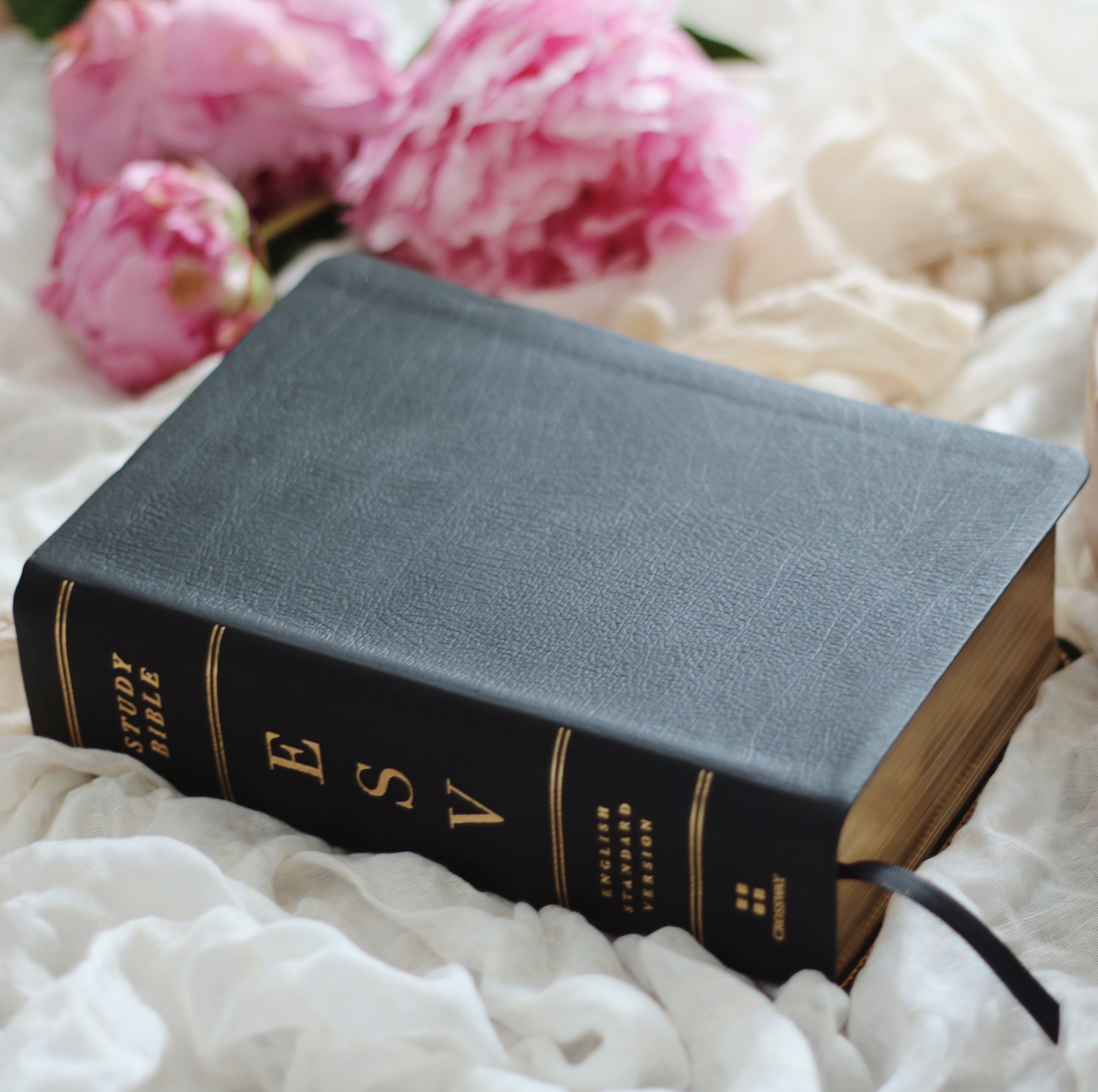 Roses Et La Bible, Photo Premium