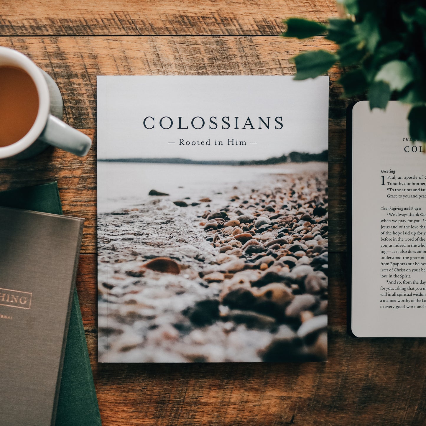 Colossians | Rooted in Him - Men