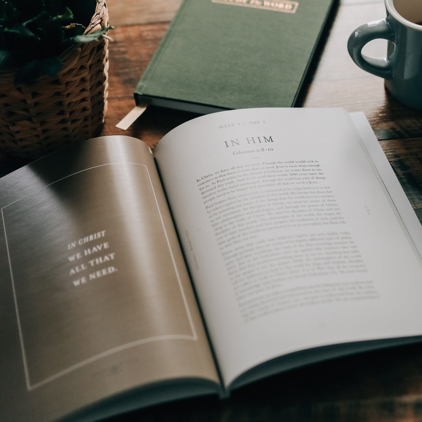 Colossians | Rooted in Him - Men