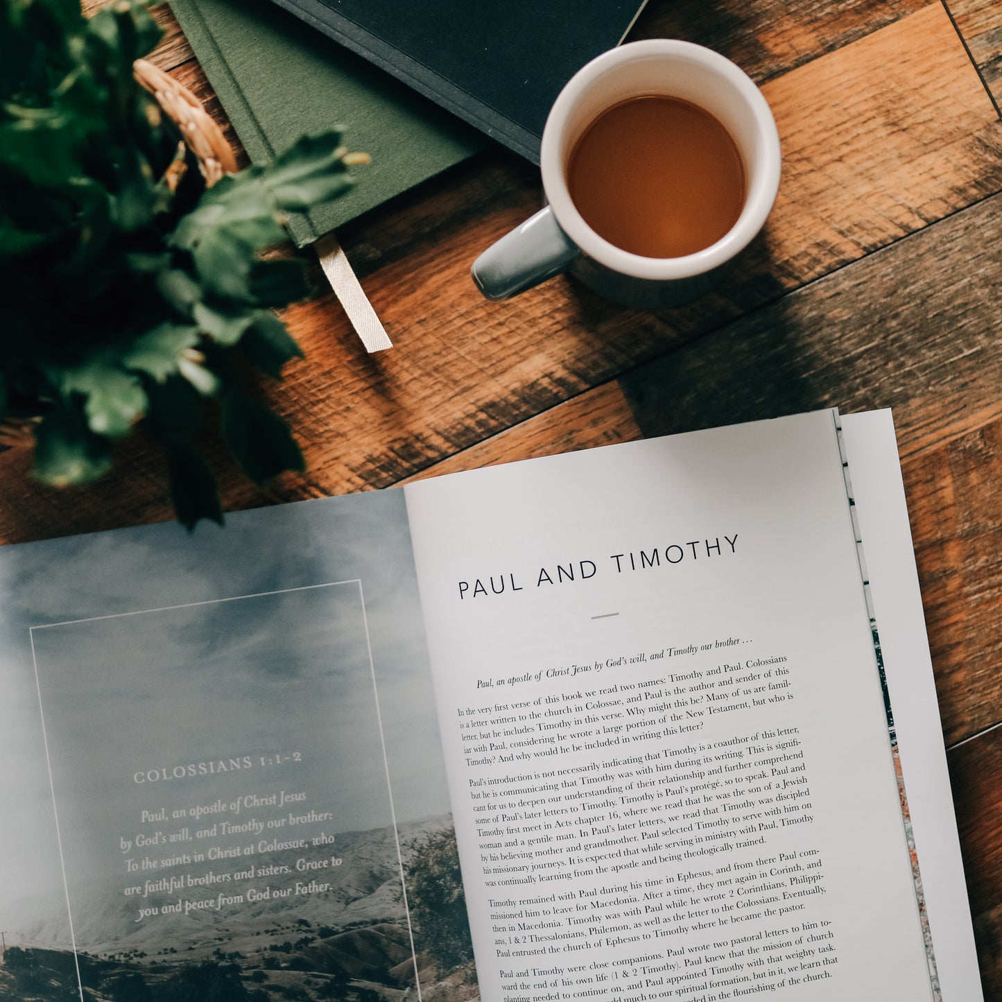 Colossians | Rooted in Him - Men