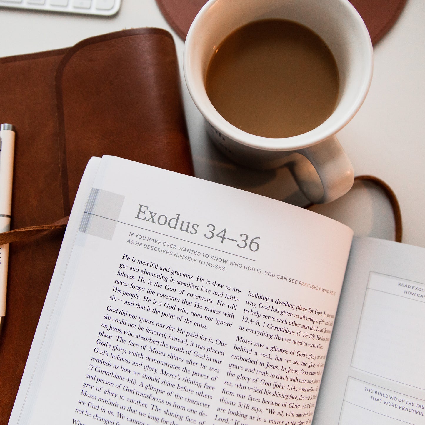 Eden to Eternity | The Chronological Story of Scripture Bundle - Men