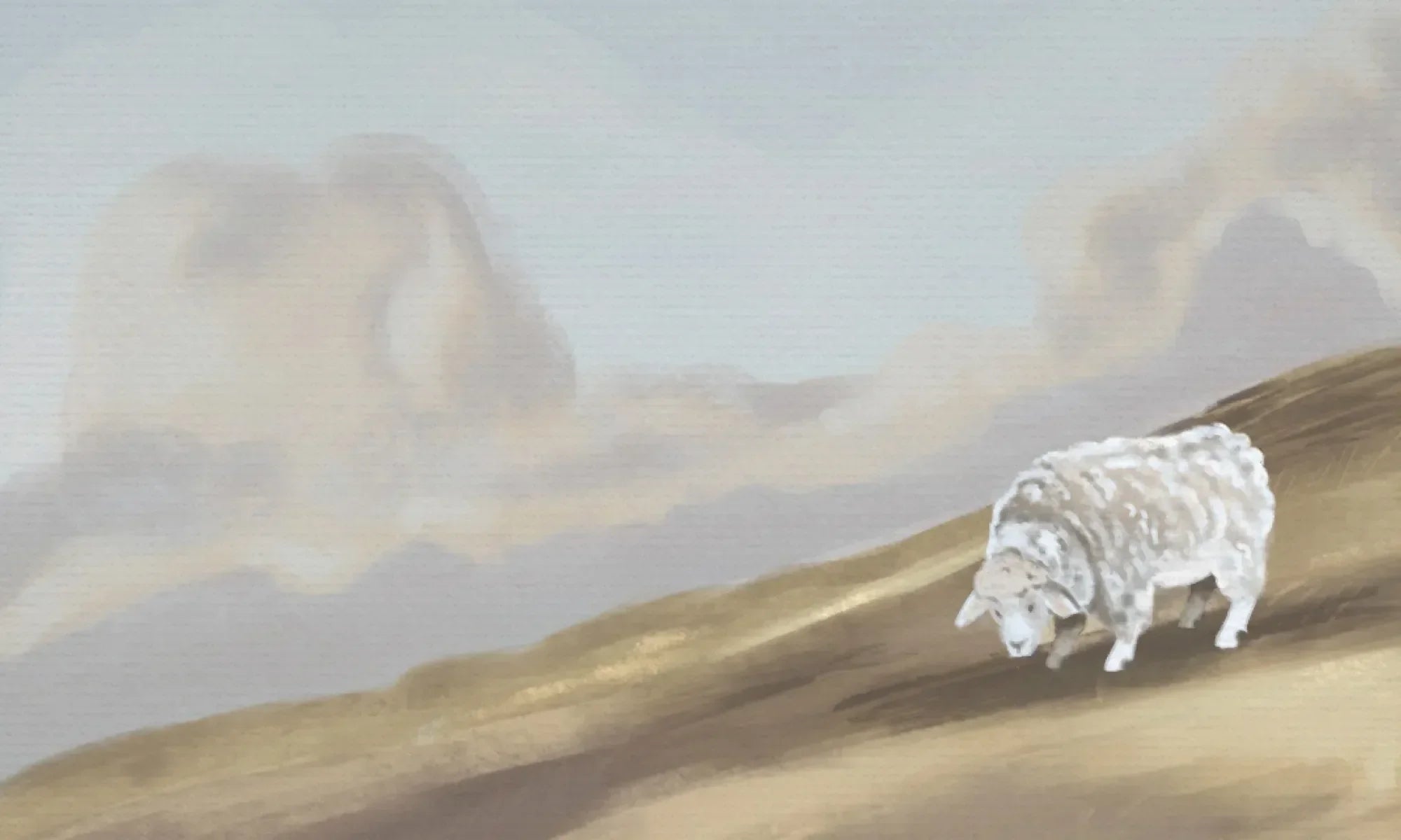 Which Year-Long Bible Study is Right for Me?