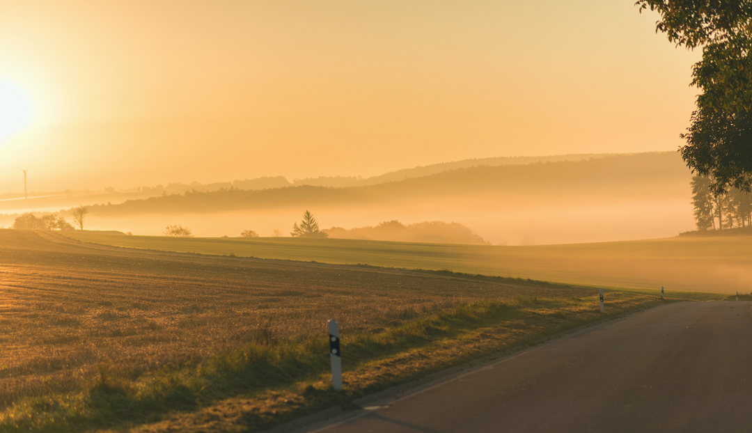 A foggy landscape of a sunset over a field