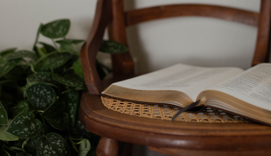 An open book on a woven wooden chair next to a green plant