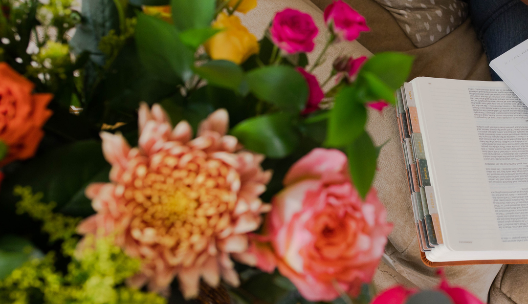 Close up of flowers near an open study