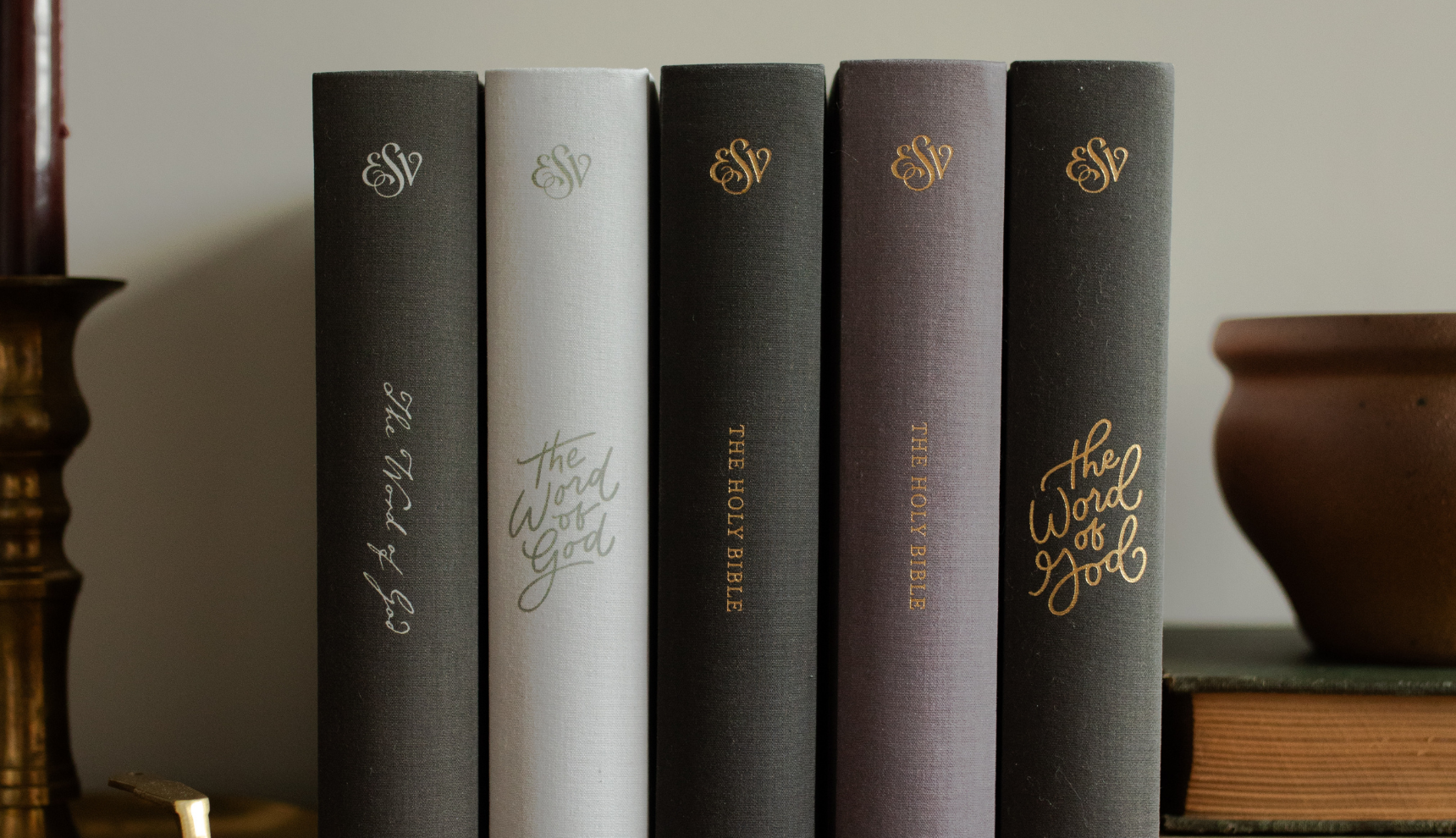 Multiple Bibles next to each other standing upright