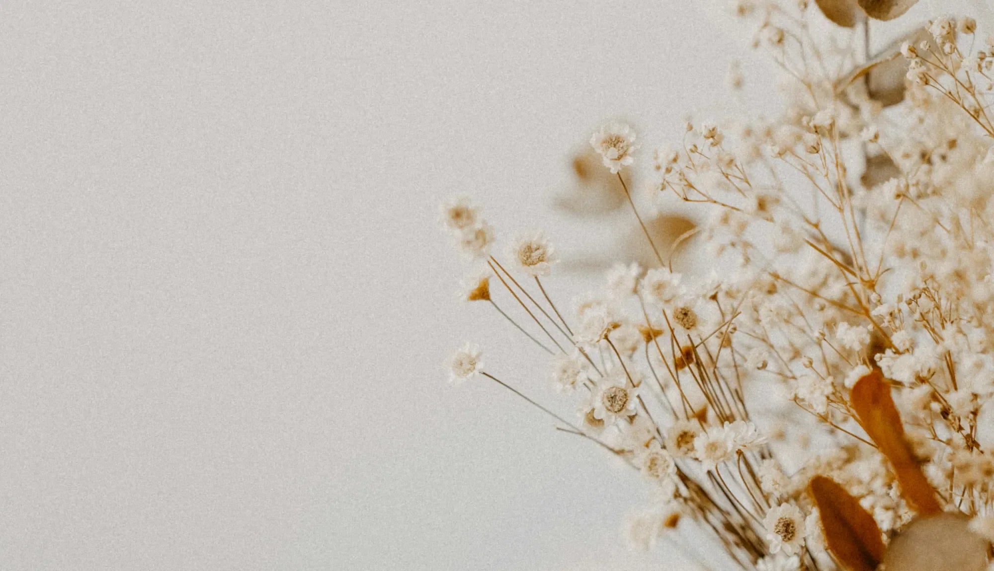 White flowers with brown branches with a cloudy and gray background