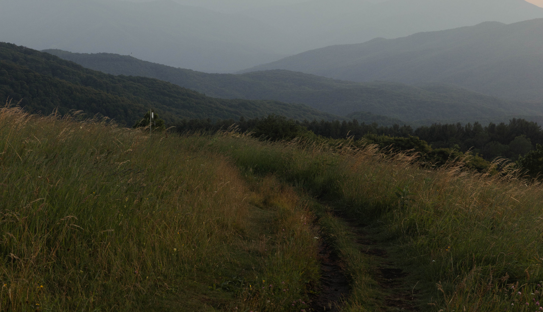 Road tracks in a field of grass overlooking a mountain range