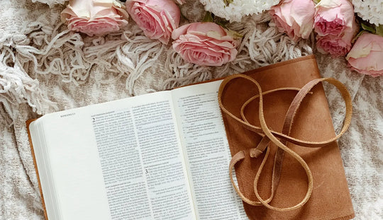 June Bible Study and Book Picks