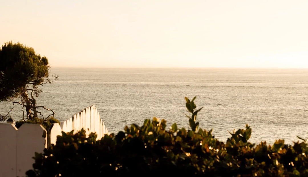 Some greenery and a white picket fence overlooking the sea during a sunset