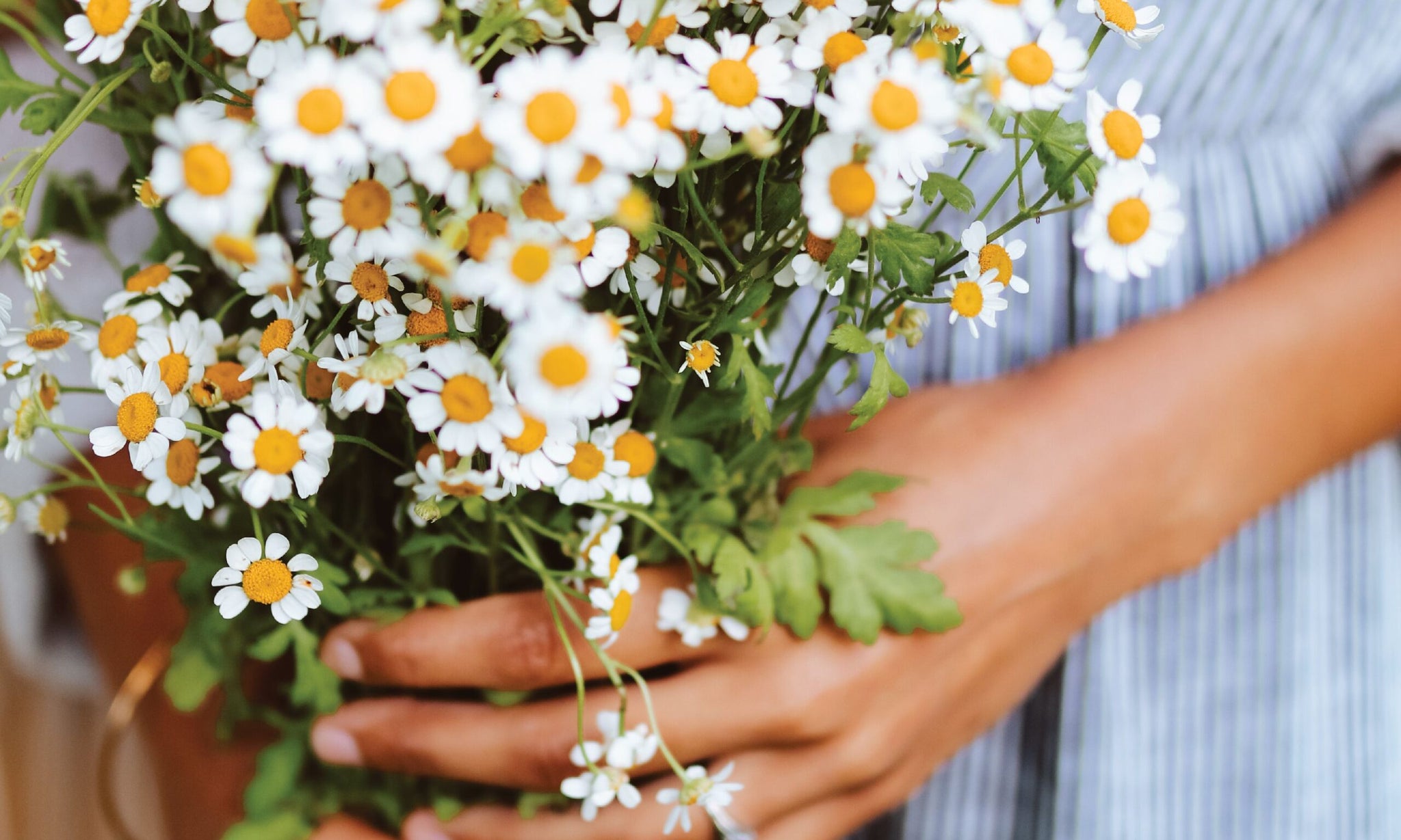 The Secret to Contentment in Every Circumstance | Ep. 163