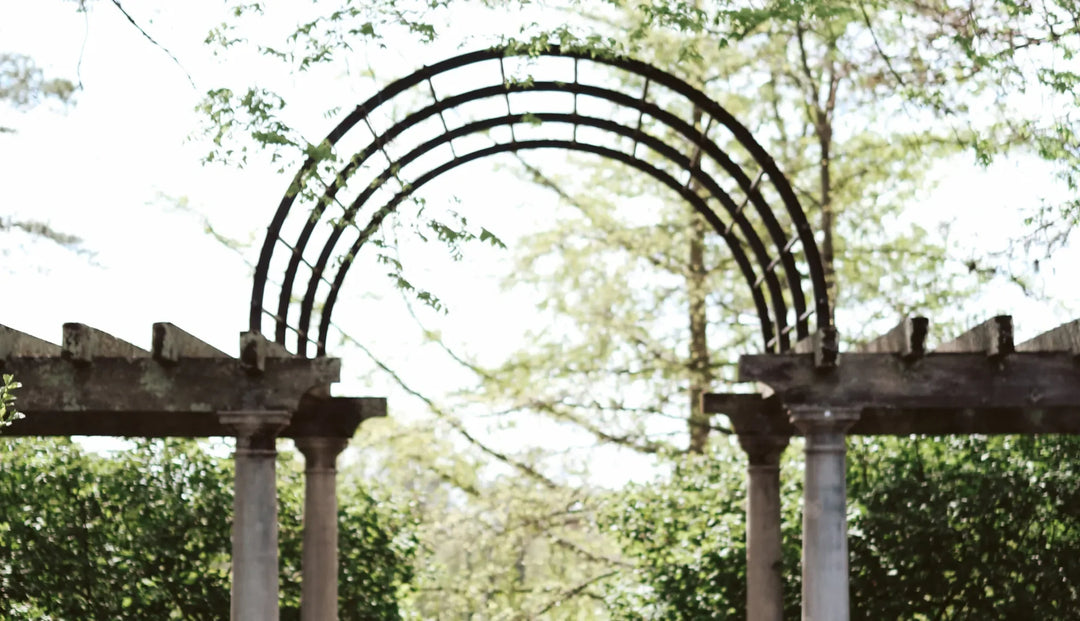 Wooden archway with trees and greenery in the distance