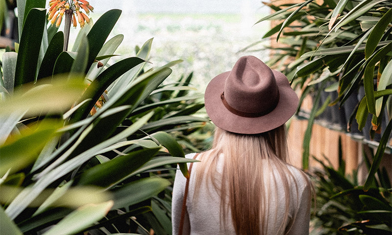 Created in His Image