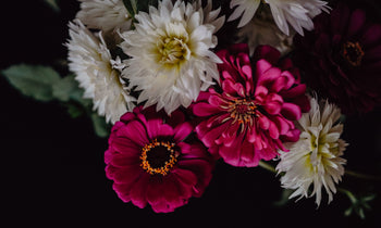 How to Cultivate Patience TDGC – The Daily Grace Co.