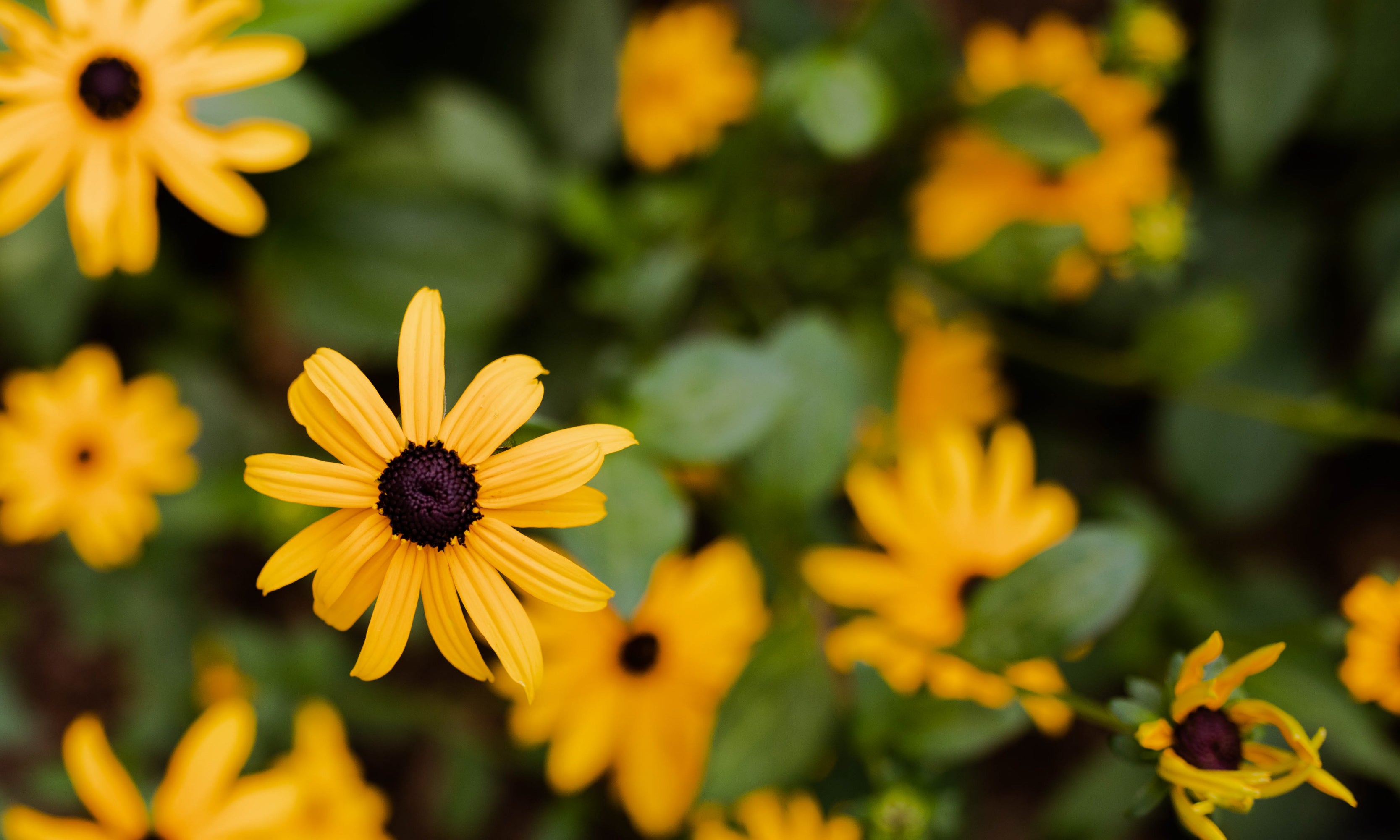 Seeking True Growth in Christ | TDGC