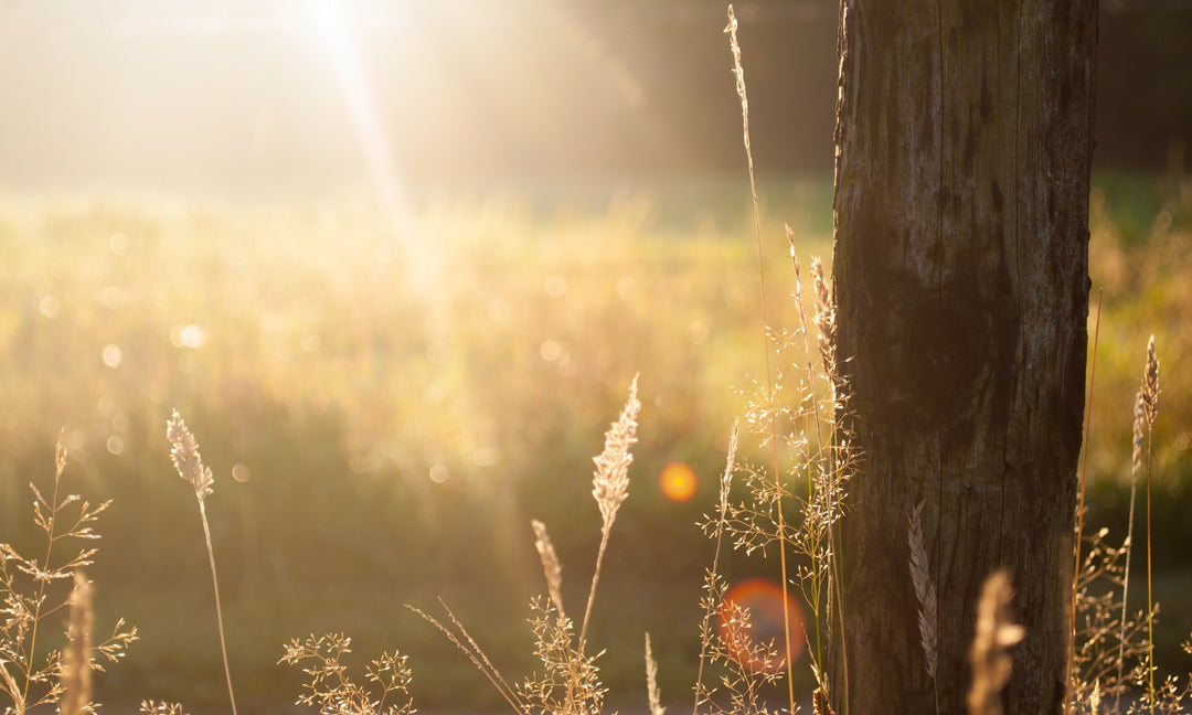 God’s Posture Toward Us When We Sin