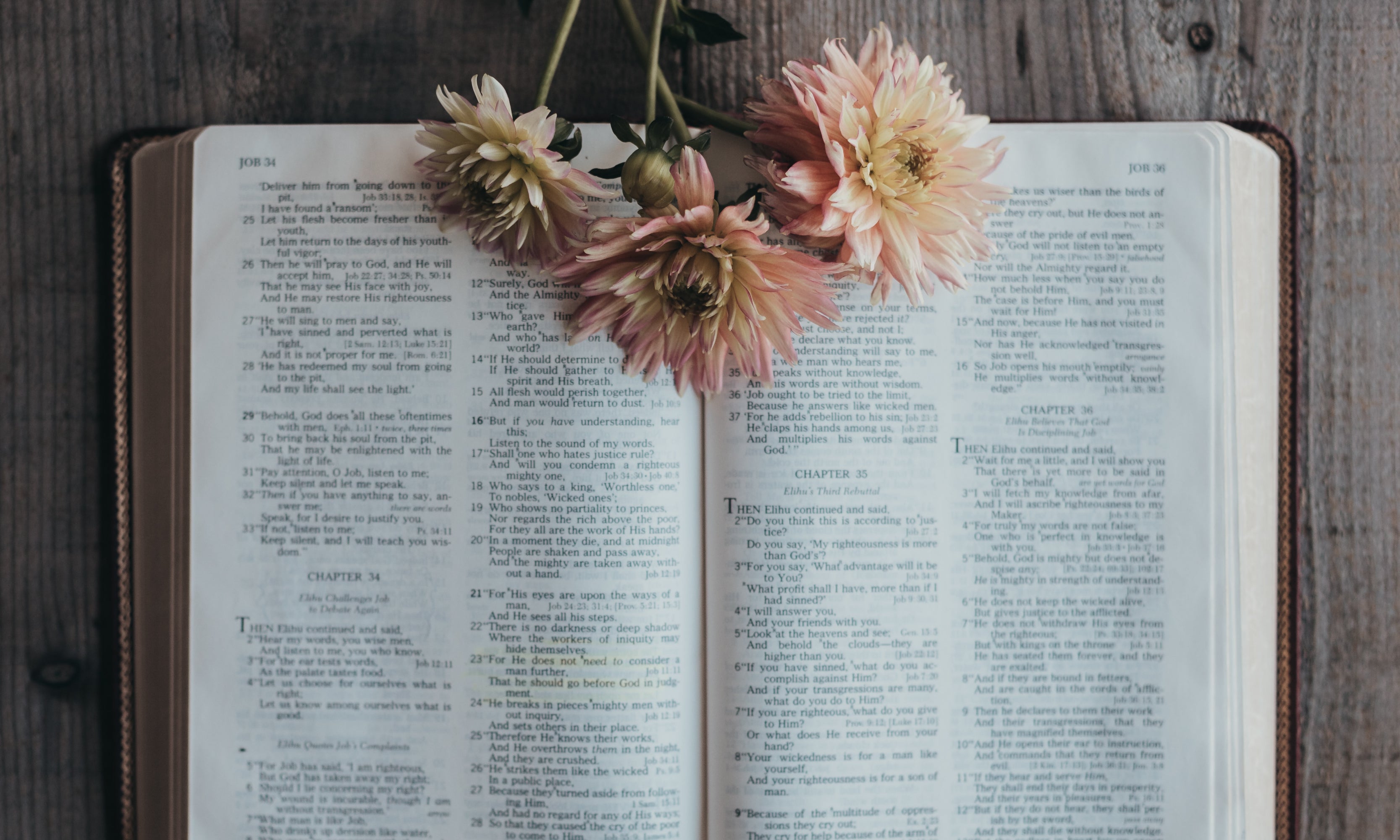 Breaking Barriers to Bible Study | TDGC – The Daily Grace Co.