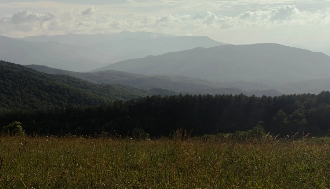 An open field with mountain ranges in the far background
