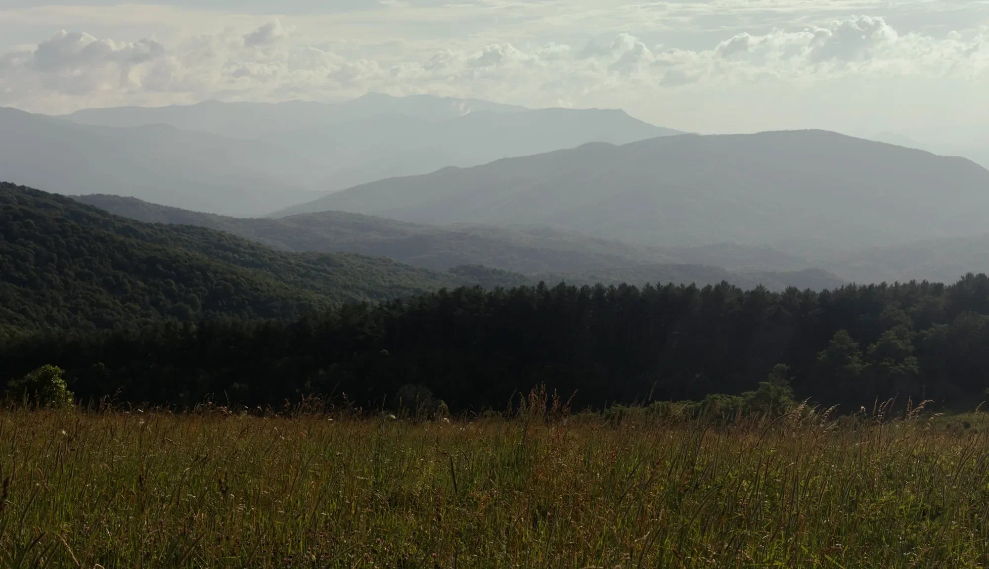 An open field with mountain ranges in the far background
