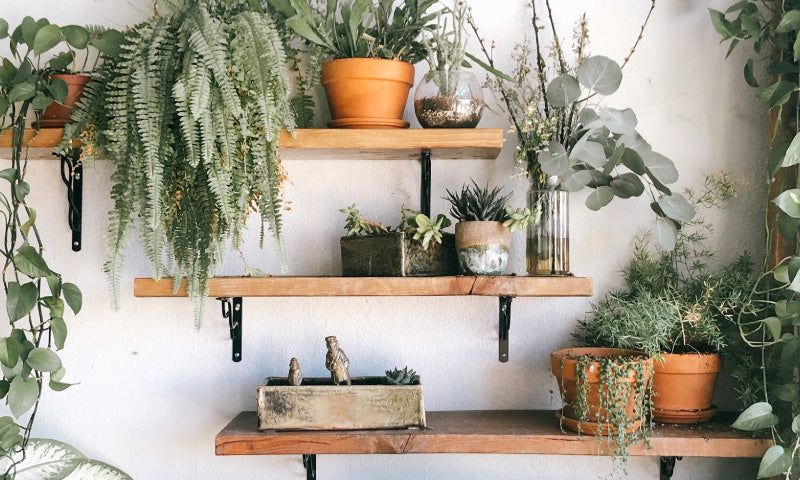 Suffering and Sanctification