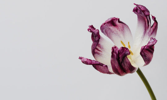 Blessing During Isolation: How Loneliness Changed My Life