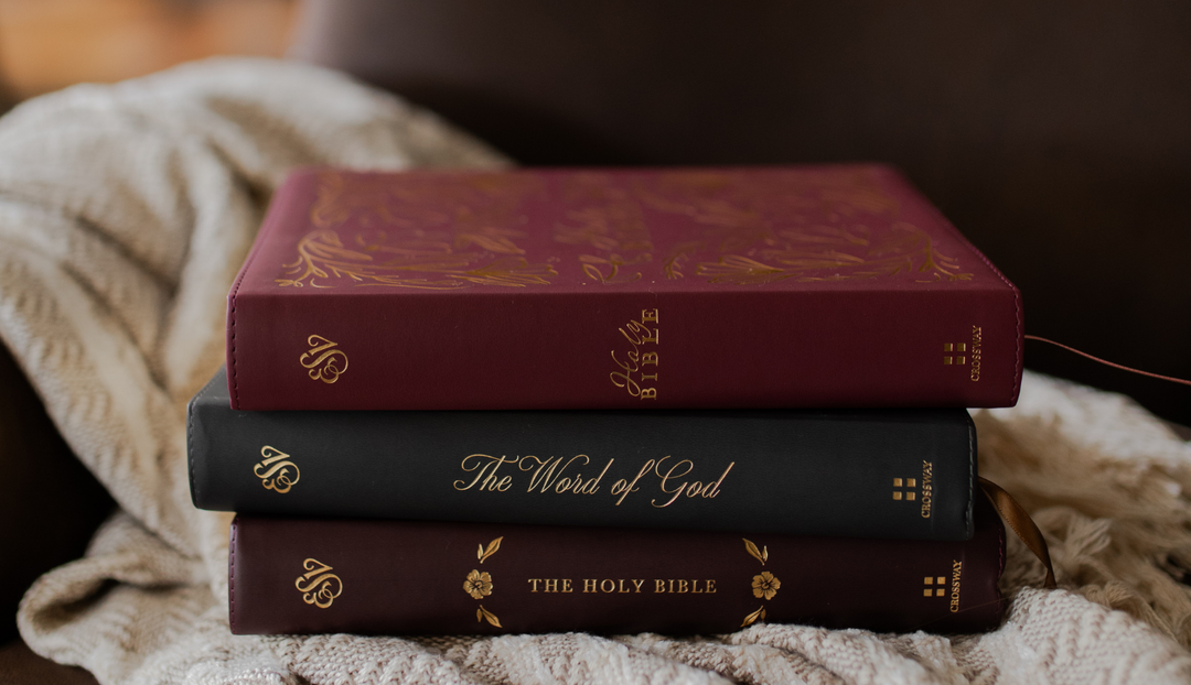 Multiple Bibles stacked on one another on a blanket