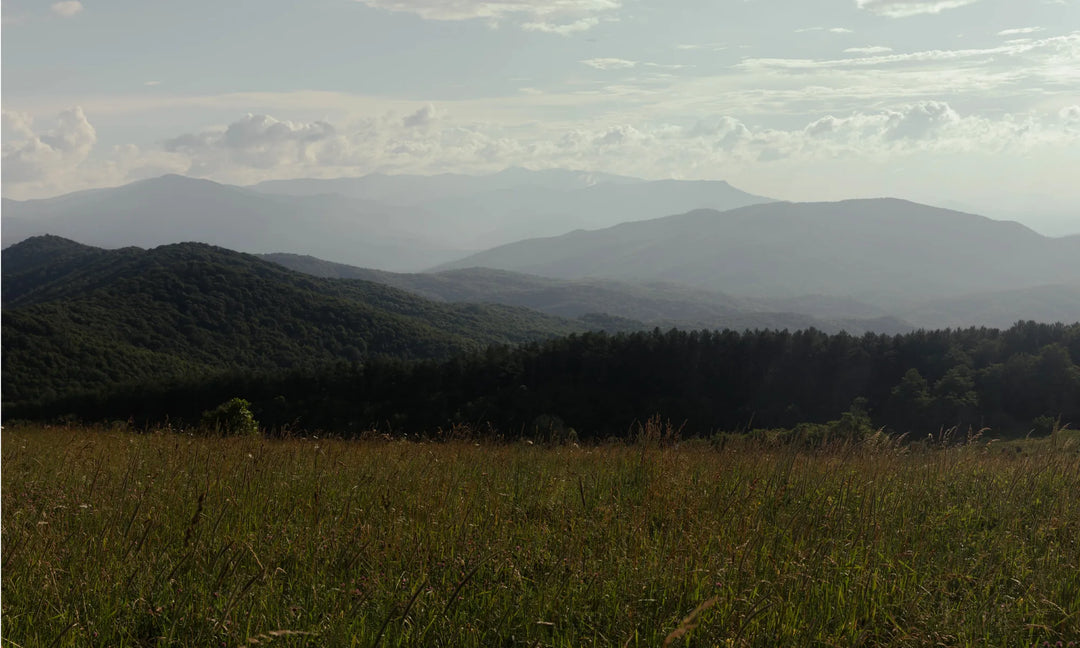 cloudy blue sky overlooking a Large green field and a mountain range fading in the distance