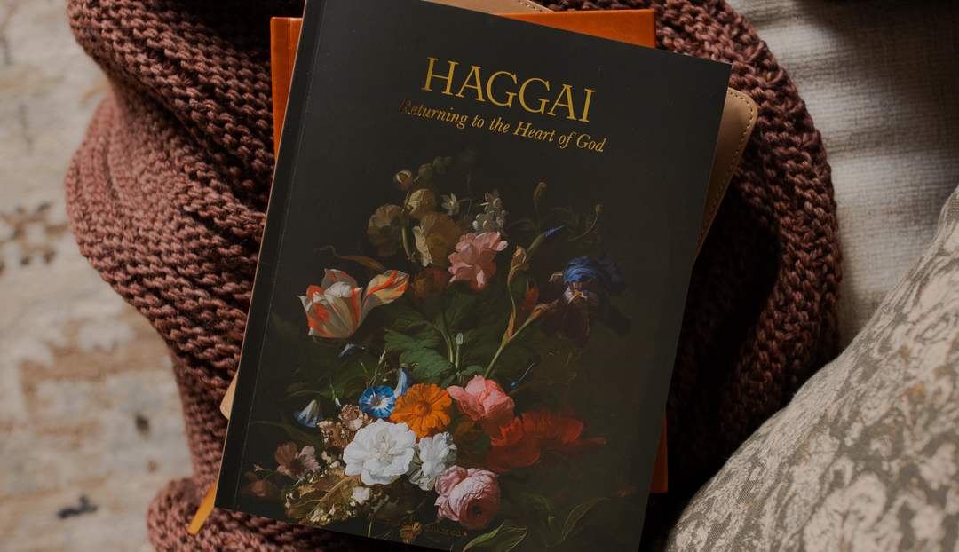 The Haggai study on a brown knitted blanket