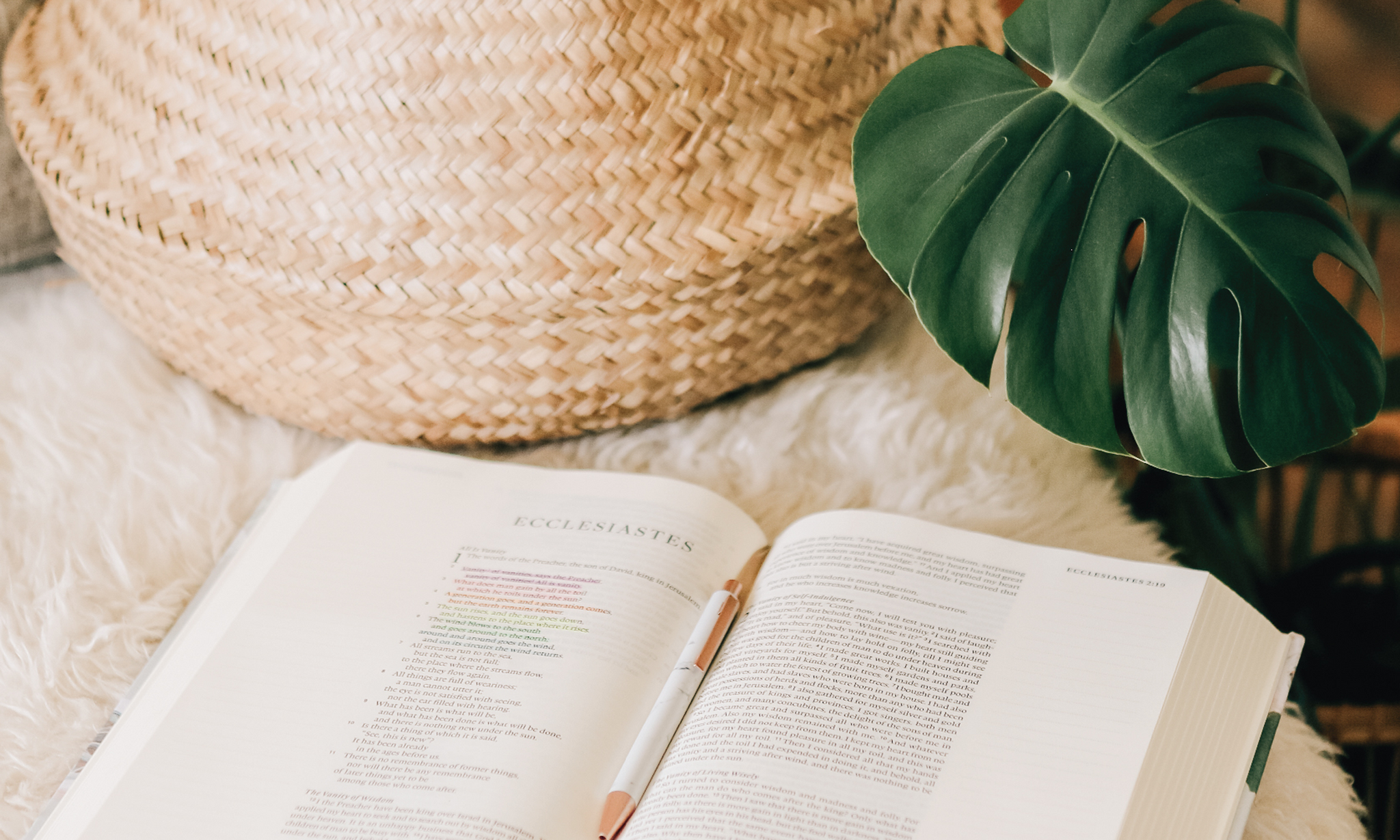 Quiet Time Tips: How to Read the Bible Well | Ep. 193