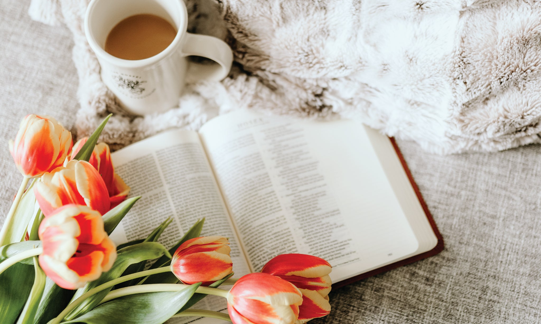 How Women of the Bible Help Us Find Our Place in the Story of Redemption w/ Nana Dolce | Ep. 198