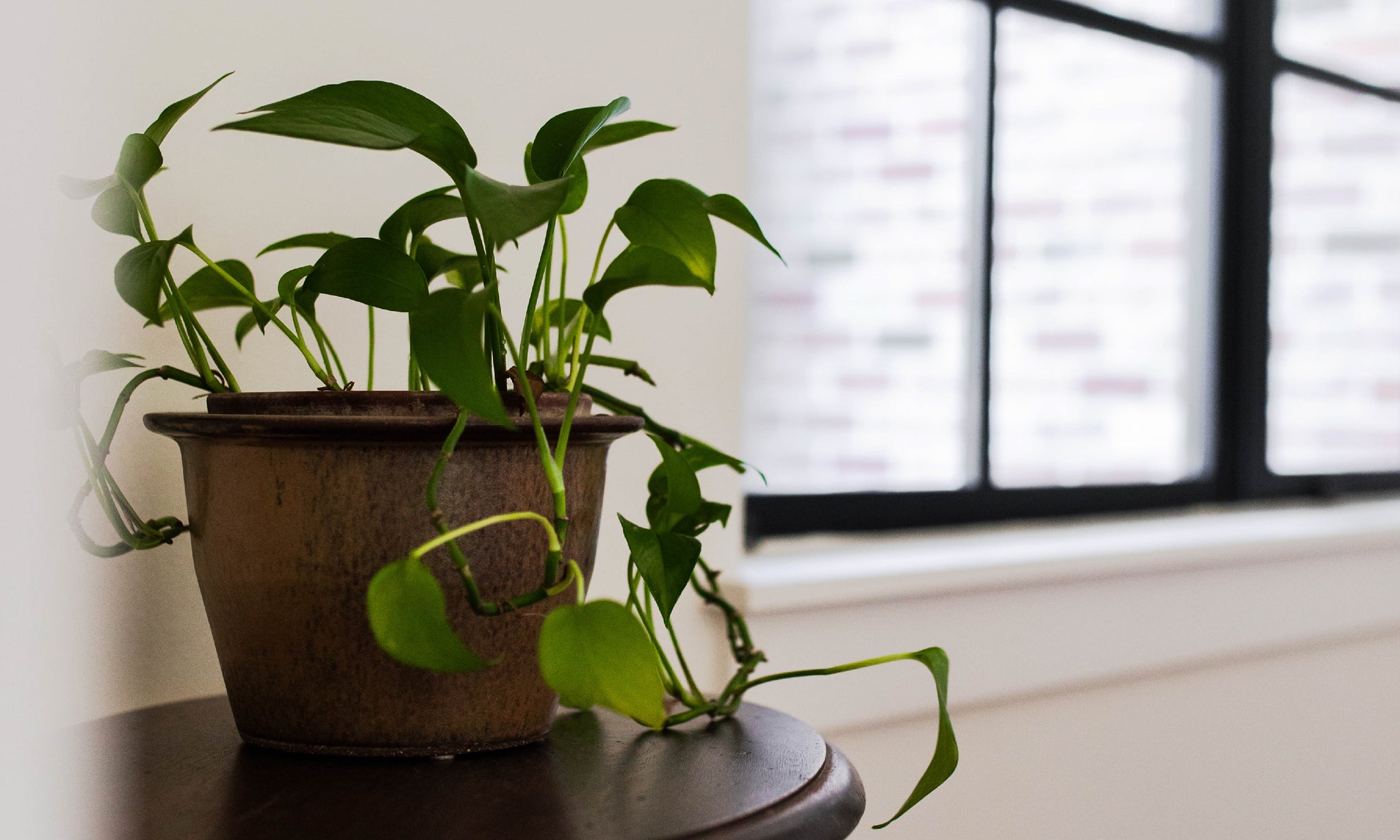 When You Feel: Behind | Ep. 262