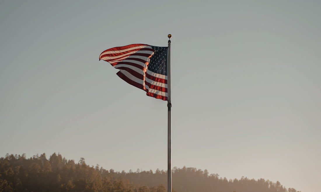 A Prayer For Veterans Day | The Daily Grace Co.