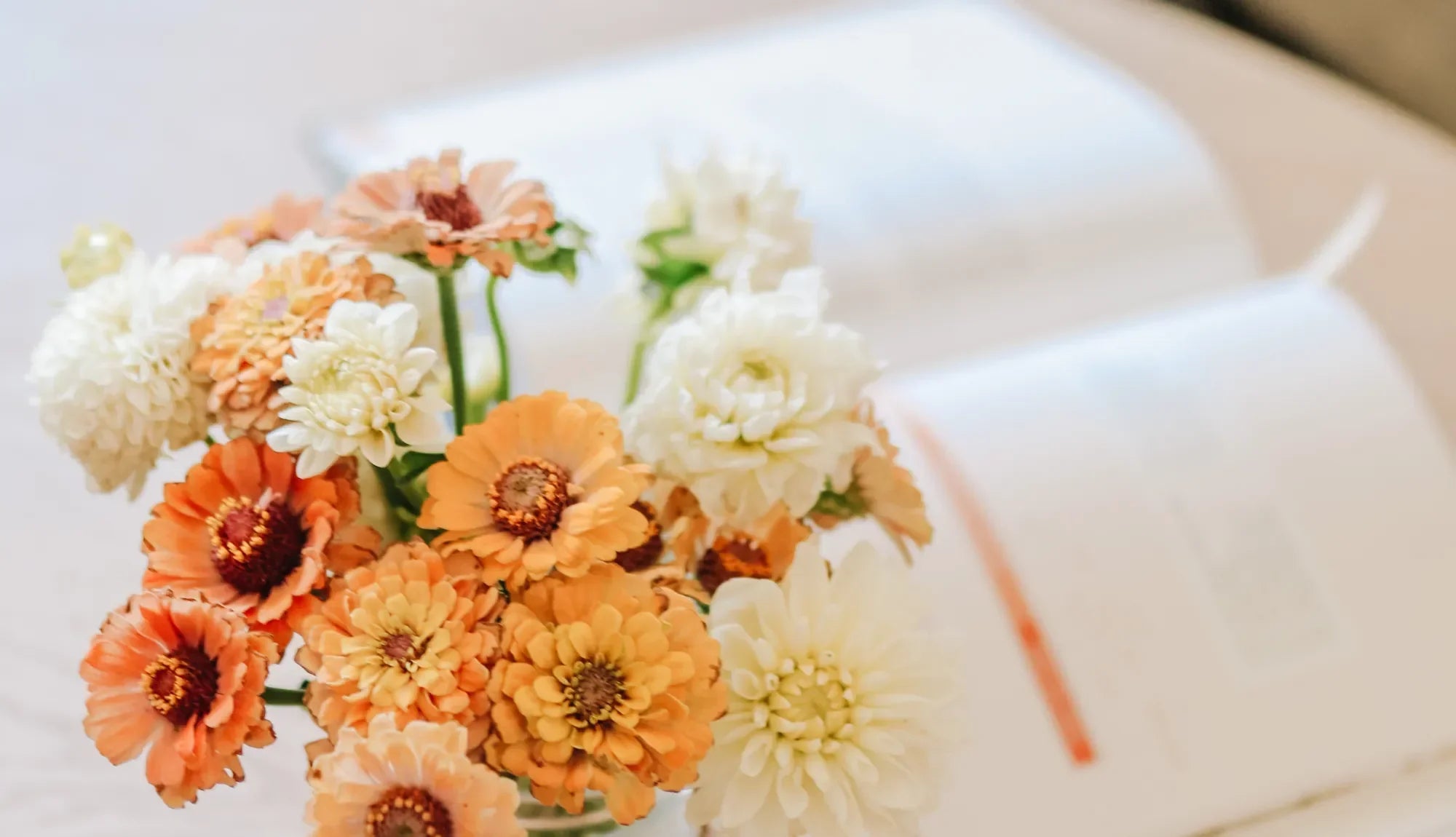 Orange and white flowers bunched together overlooking an open book