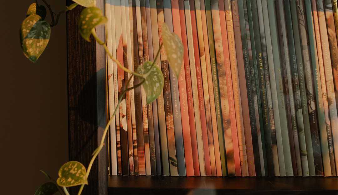 Multiple Daily Grace Bible studies on a brown shelf with some greenery draped over