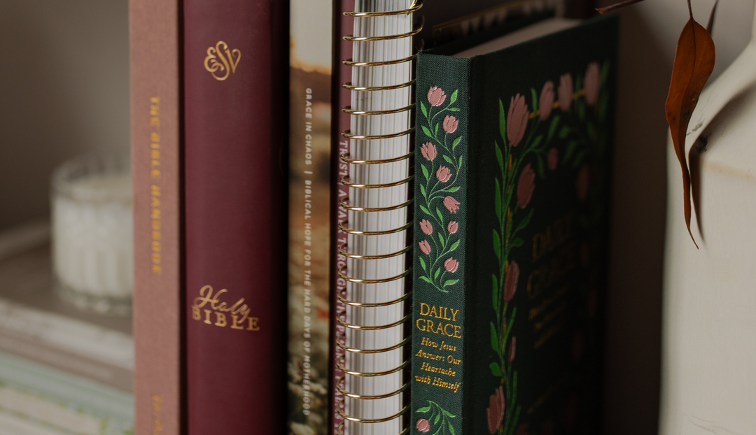 Multiple Daily Grace studies and books standing up in a stack near a wall
