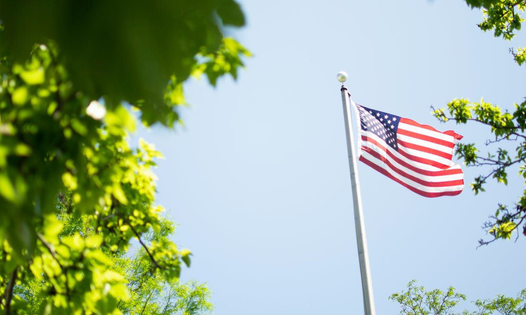 American Flag on a flagpole next to trees