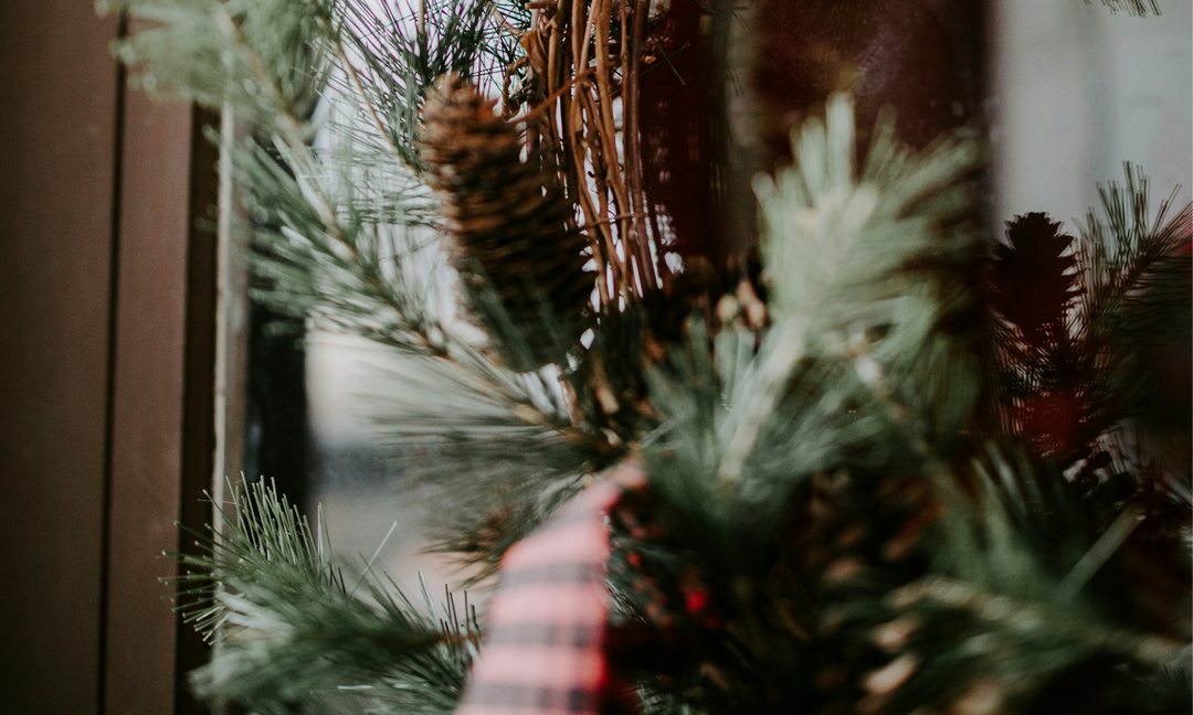 Up close Image of wreaths and pinecones