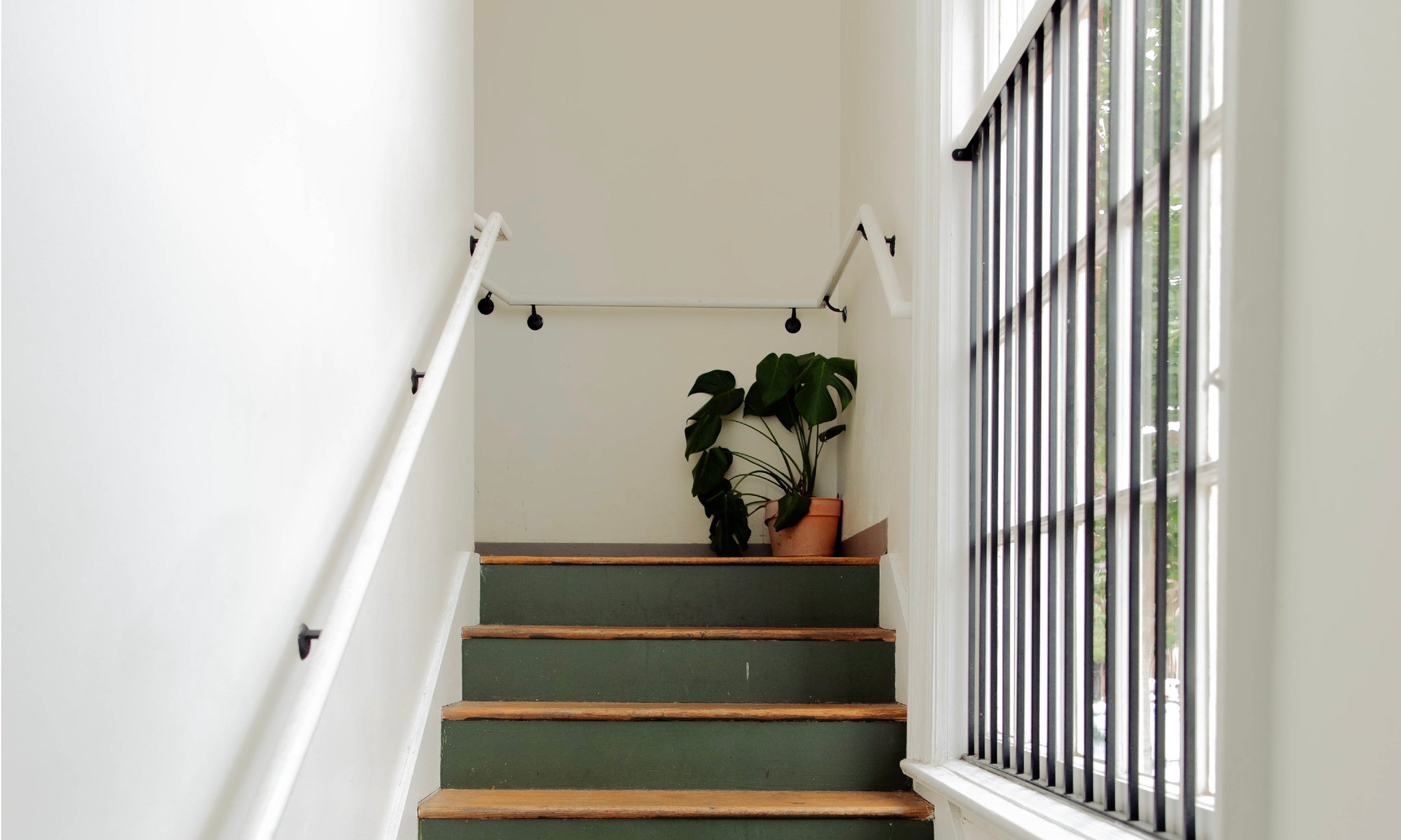 Staircase with white walls with green steps with a plant in the corner and a window to the right