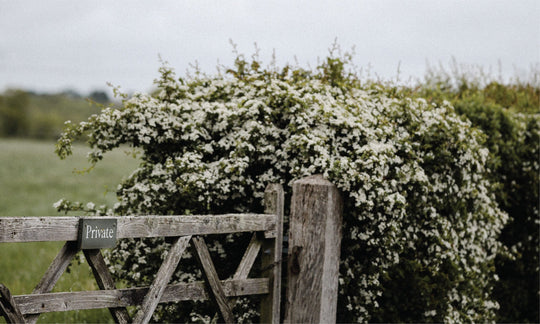 How to Fight Anxiety with Prayer