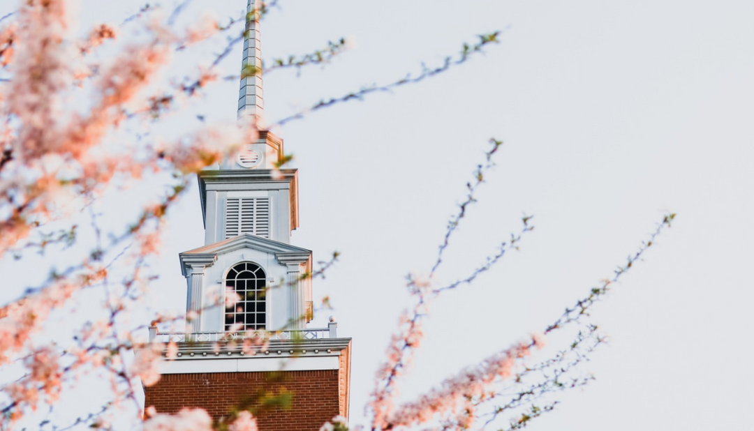 A church chapel with some fresh pink flowers on branches in front of it