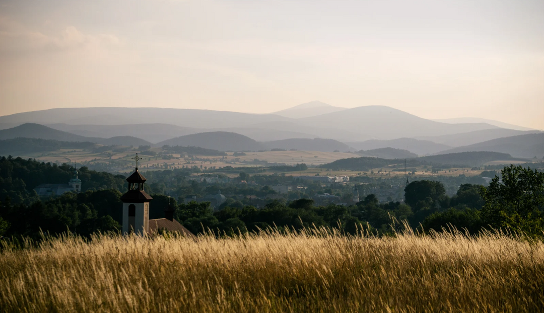 A hay field overlooking multiple churches and steeples in the far distance
