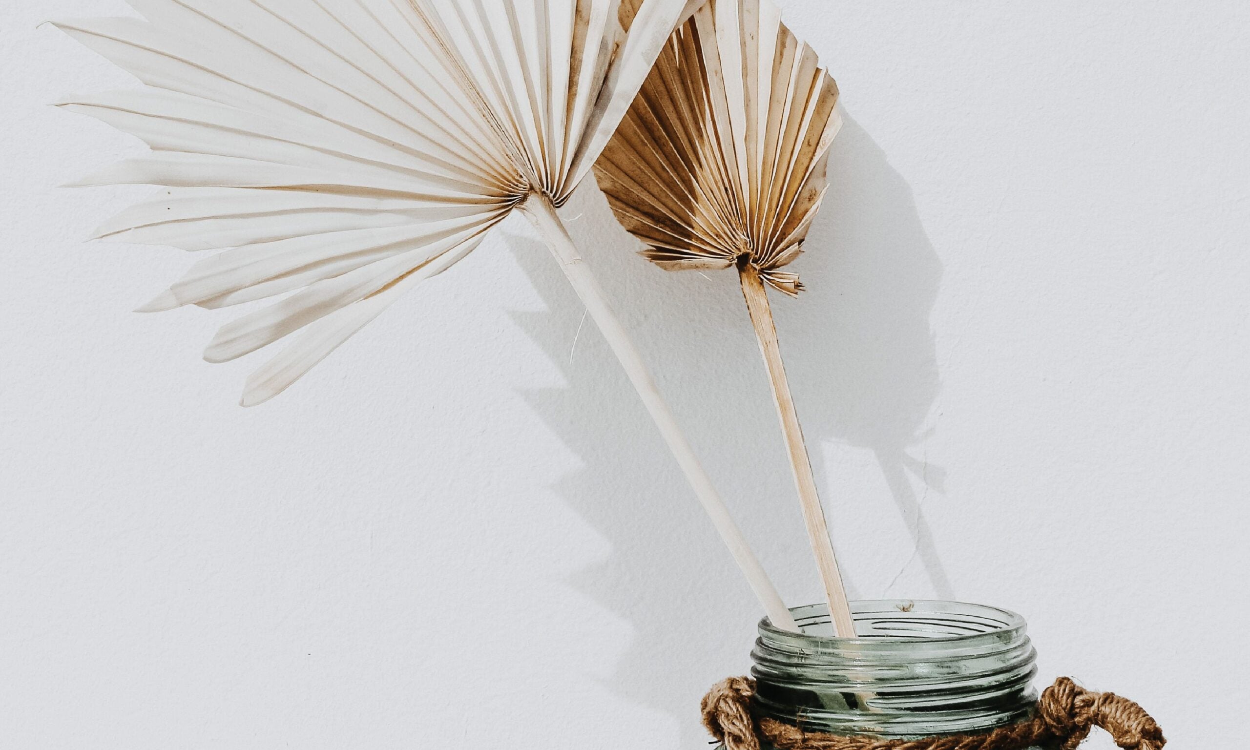 Spiritual Dehydration: How Our Physical Needs Point Us to the Only One Who Can Satisfy