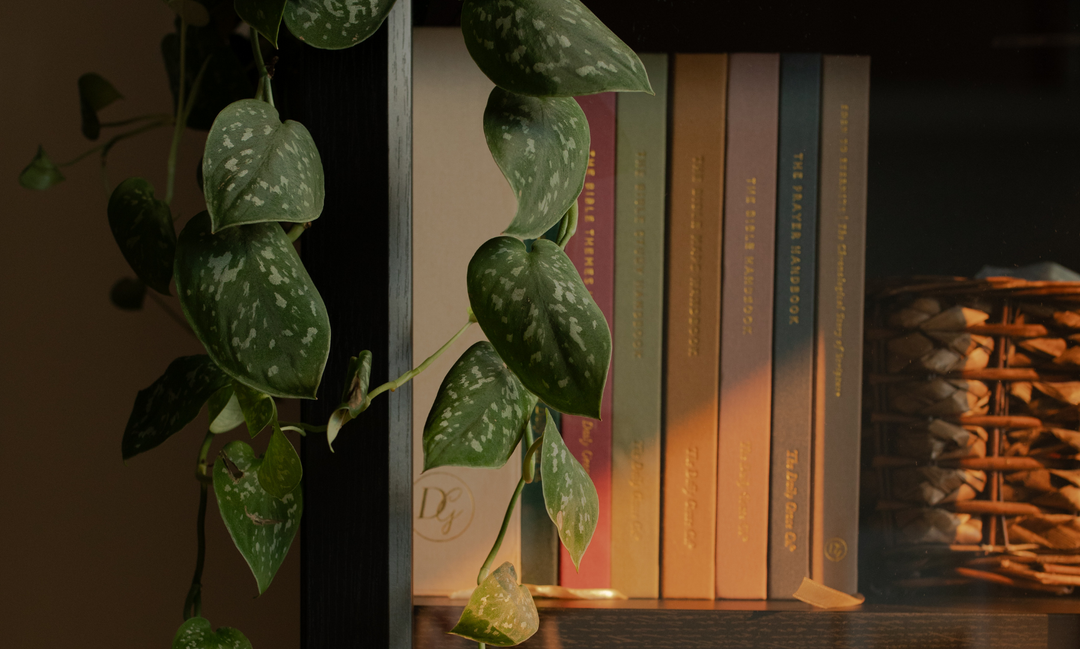 Multiple bible studies on a bookshelf with some greenery hanging on it