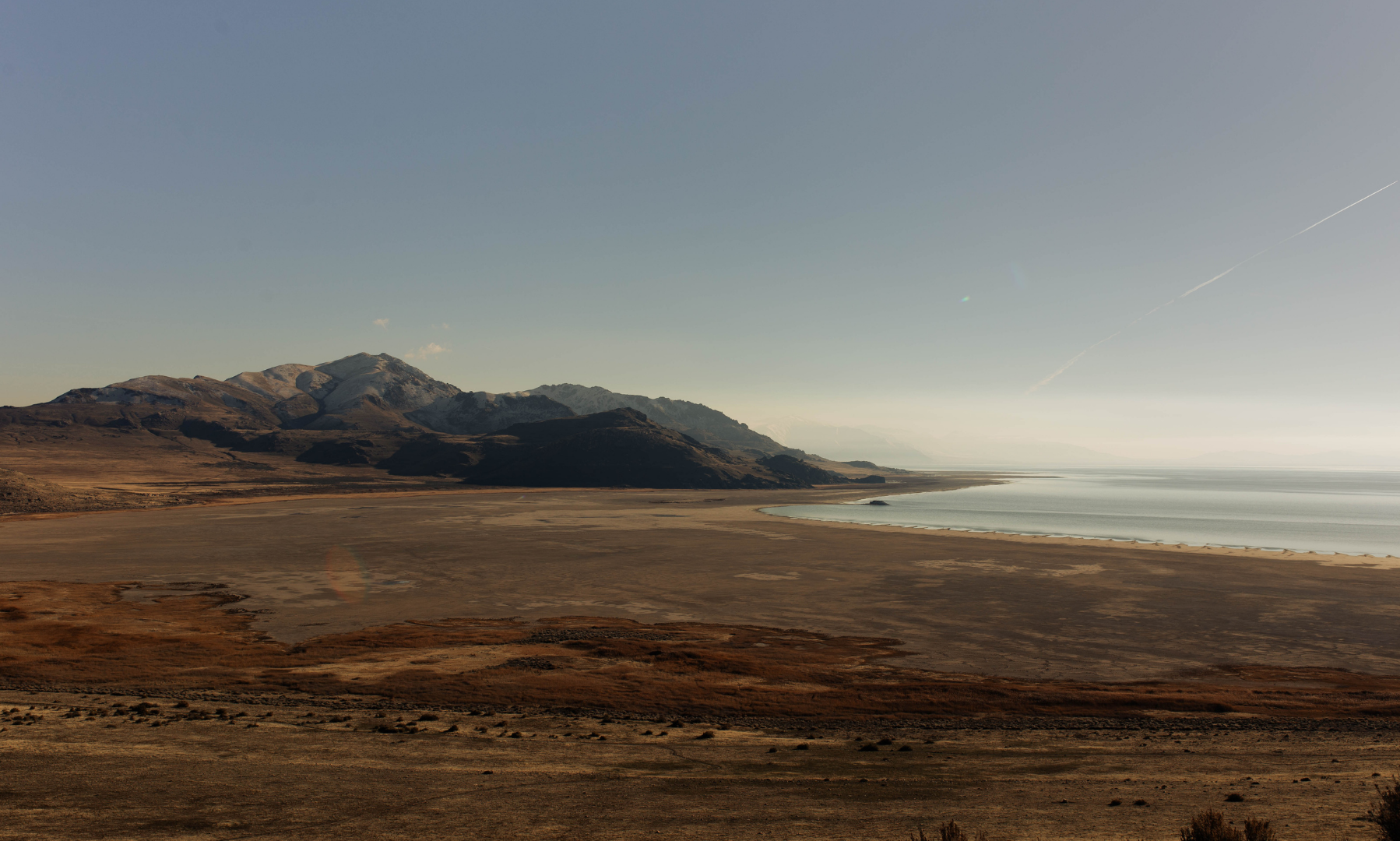 Renewing Our Wonder of God with Alicia Hamilton