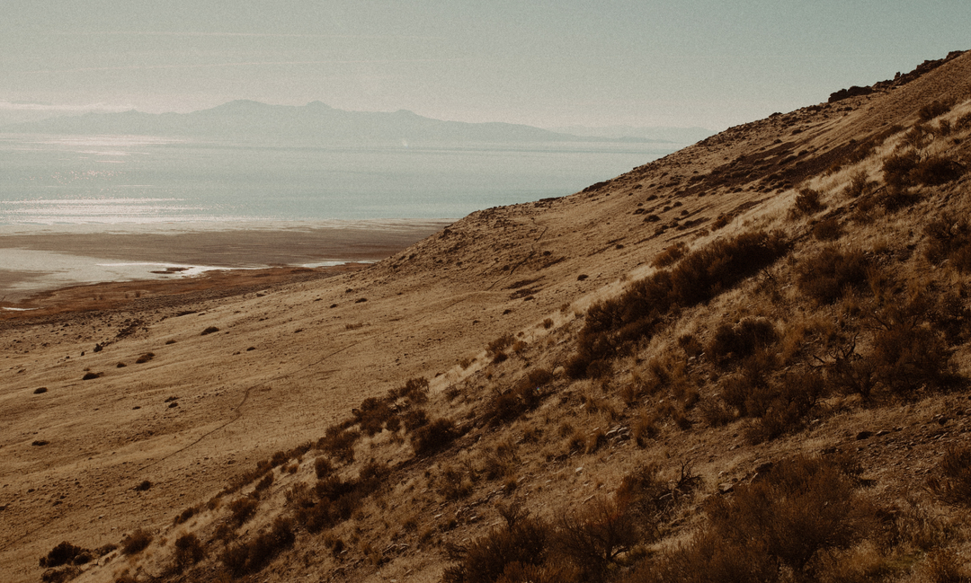 A sandy slope overlooking a distant ocean