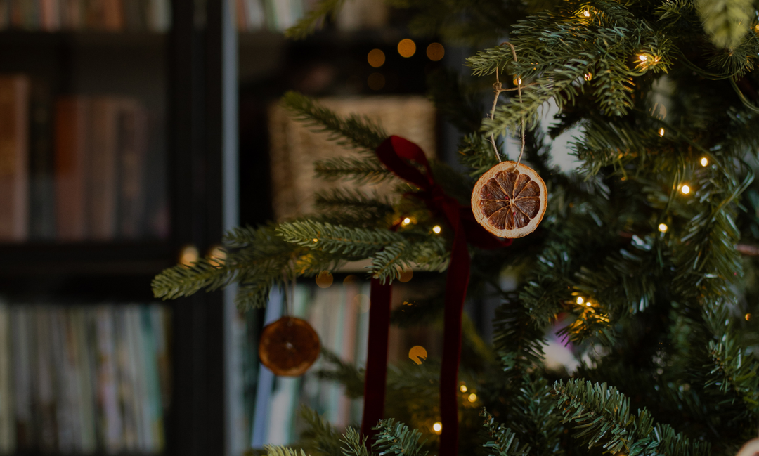 A red bow on a branch of a Christmas tree with hanging slices of dried oranges