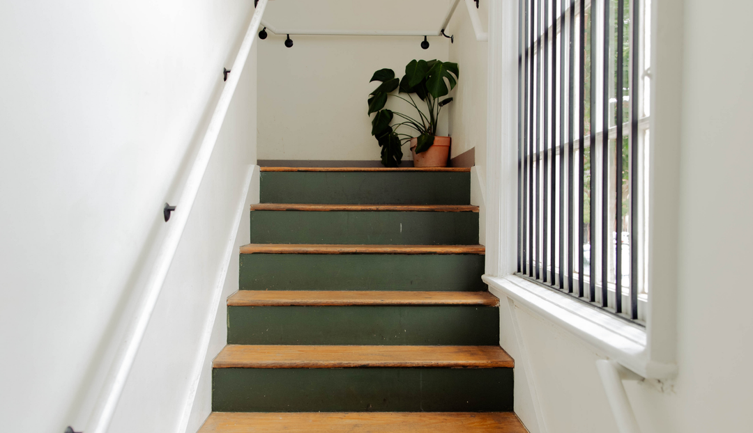 Wooden stairs with green under paint going up towards a plant in an orange pot