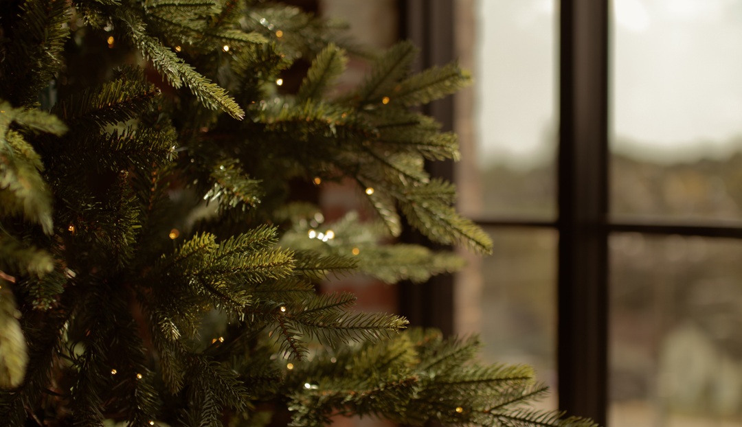 Up close of a Christmas tree near a window